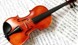 Violin