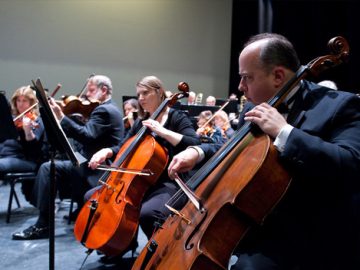 cello-2013