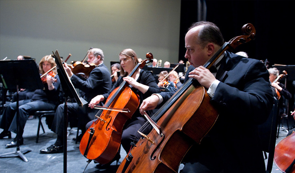 cello-2013