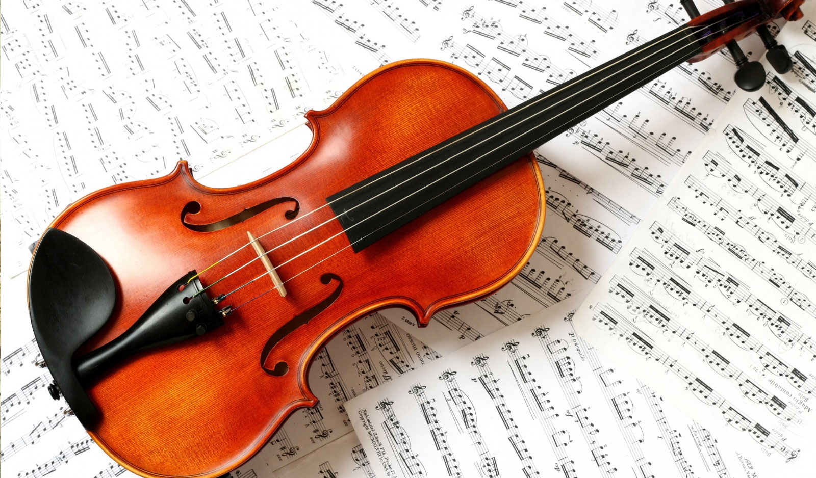 Violin