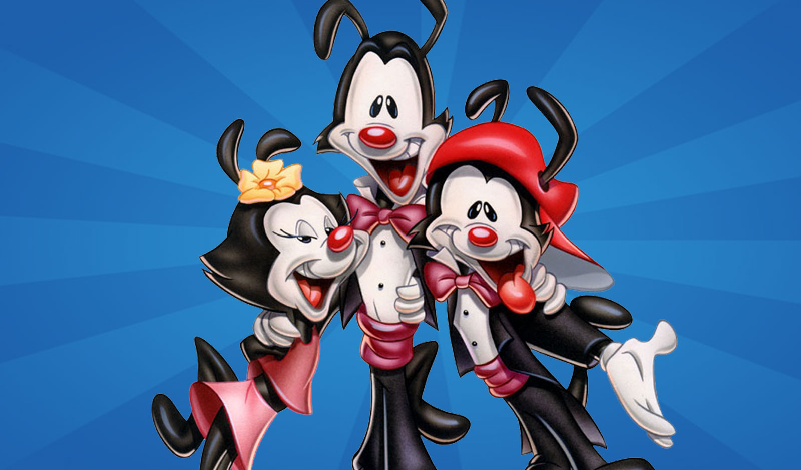 animaniacs-banner