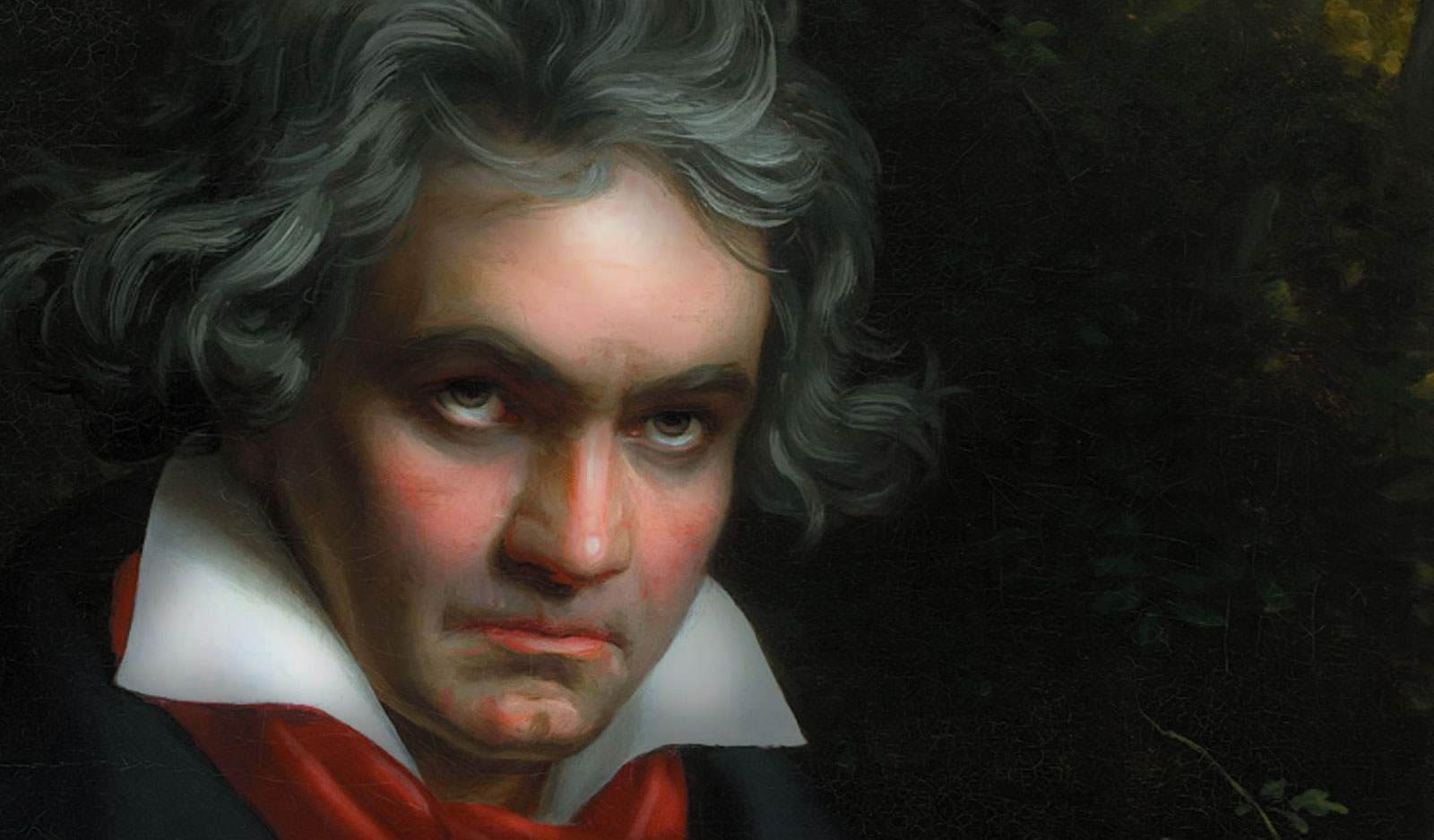 beethoven-banner