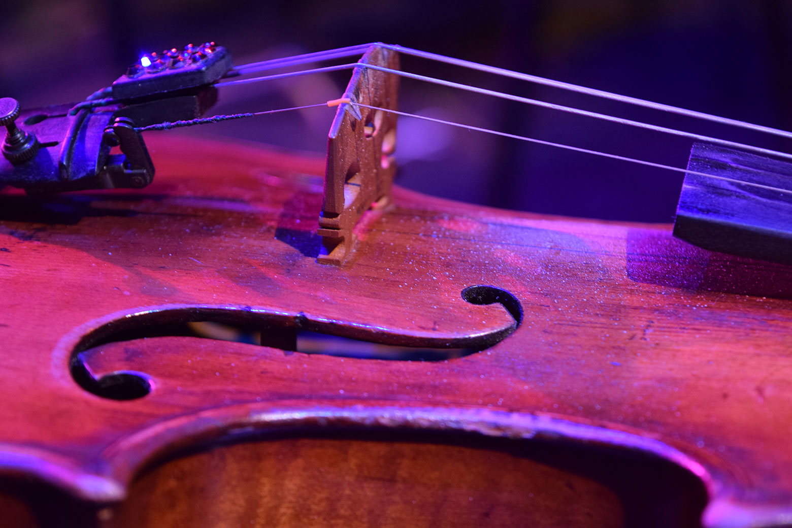 violin-2018-la-mirada