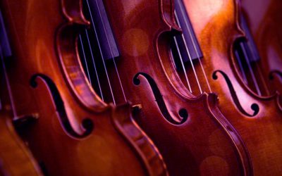 violins