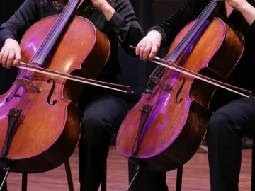 cello-2026