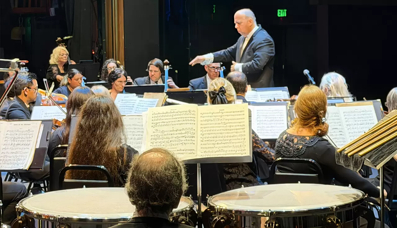 Audience attending a free symphony concert and experiencing live music together